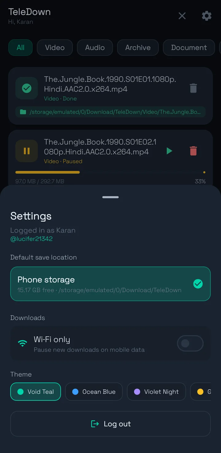 Settings sheet with save location, Wi-Fi only and theme picker